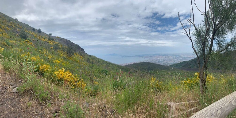 Picture 2 for Activity Mount Vesuvius: Smartphone Audio Guide