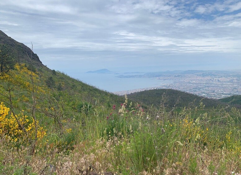 Picture 3 for Activity Mount Vesuvius: Smartphone Audio Guide