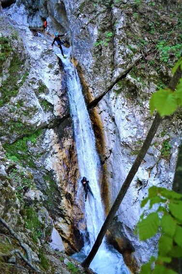 Picture 2 for Activity Bovec: 100% Unforgettable Canyoning Adventure + FREE photos