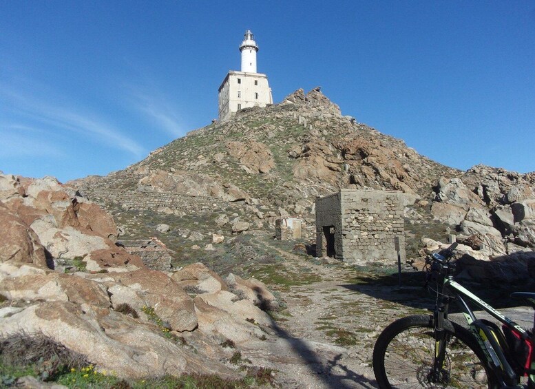 Picture 8 for Activity Asinara in bike: giro in bici alla scoperta del parco