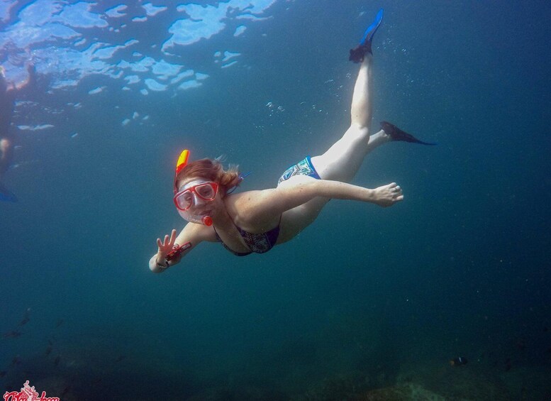 Picture 10 for Activity La Cruz de Huanacaxtle: Full-Day Marietas Islands Boat Tour