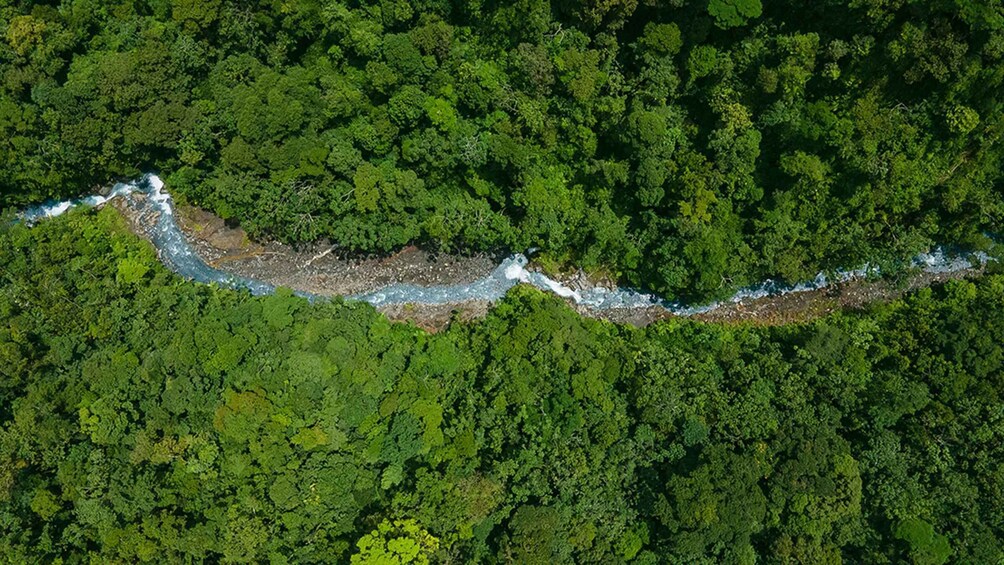 Picture 5 for Activity Guanacaste: Sensoria Private Rainforest Retreat with Lunch