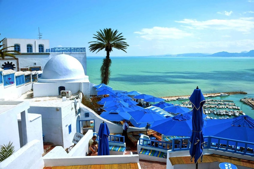 Picture 3 for Activity Tunis: Carthage, Sidi Bou Said & Medina Private Day Tour