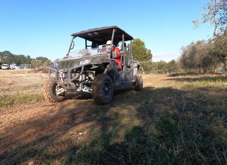 Picture 4 for Activity Salou: Buggy Safari with Hotel Transfer