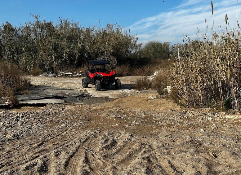 Picture 14 for Activity Salou: Buggy Safari with Hotel Transfer