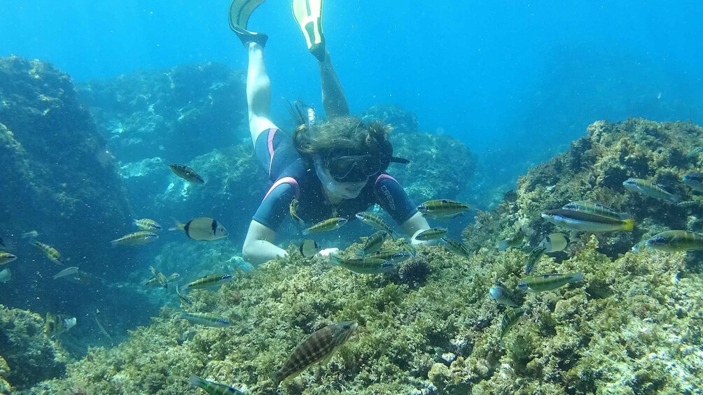 Picture 10 for Activity La Herradura: Cerro Gordo Natural Park Kayak & Snorkel Tour