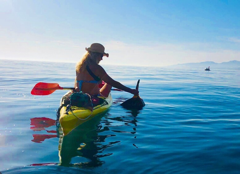 Picture 6 for Activity La Herradura: Cerro Gordo Natural Park Kayak & Snorkel Tour