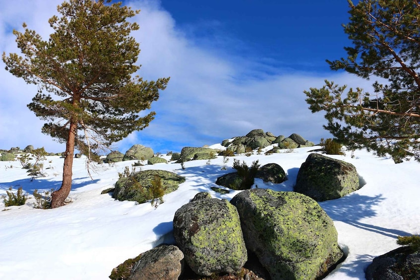 Picture 3 for Activity Serra da Estrela Private Tour