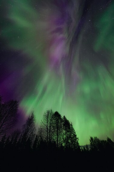 Picture 13 for Activity Aurora Hunting Pro Tour With Photography