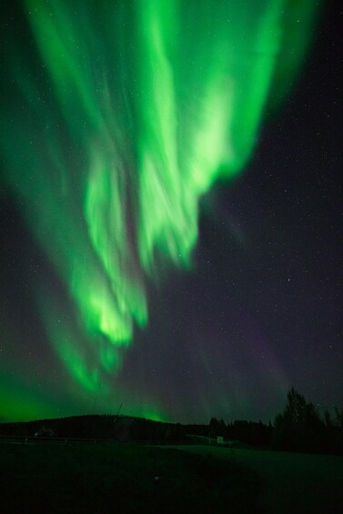 Picture 8 for Activity Aurora Hunting Pro Tour With Photography