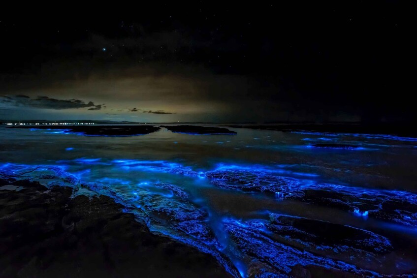 Picture 1 for Activity Holbox: Private Bioluminescence Beach Tour by Golf Cart