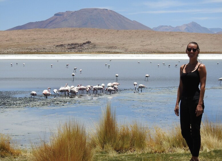 Picture 7 for Activity From San Pedro de Atacama: Uyuni Salt Flats 3-Day Tour