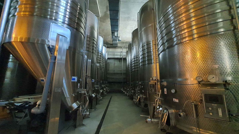 Picture 11 for Activity Bucharest: Dealu Mare Winery Private Trip with Wine Tasting