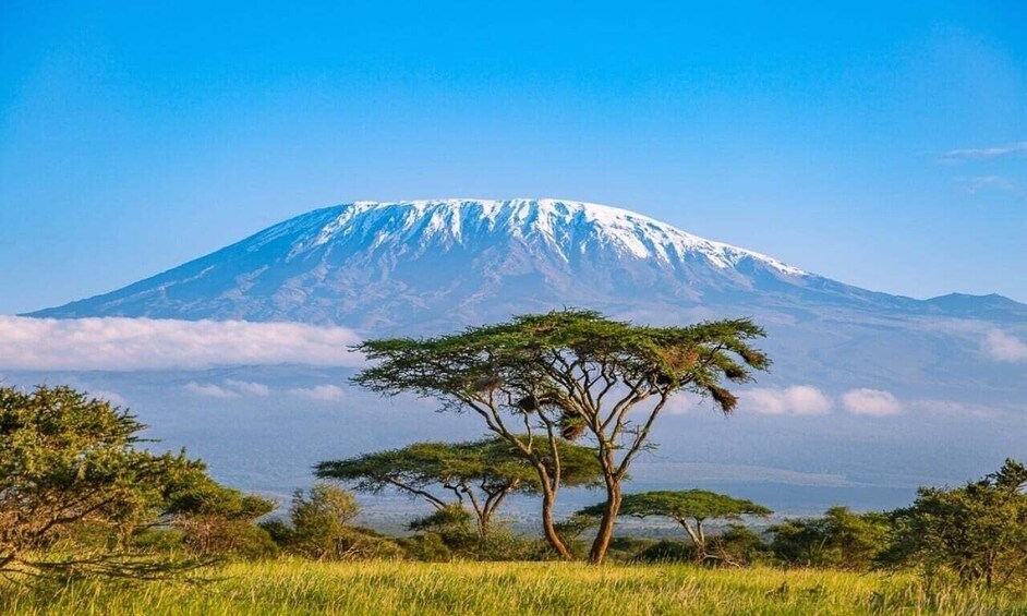 Picture 3 for Activity Private Game Drives in Amboseli