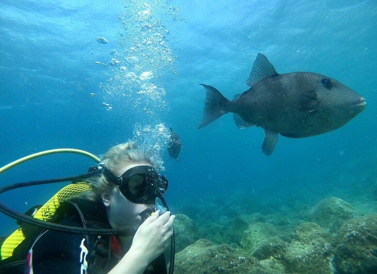 Picture 7 for Activity Tenerife : Diving License in one day