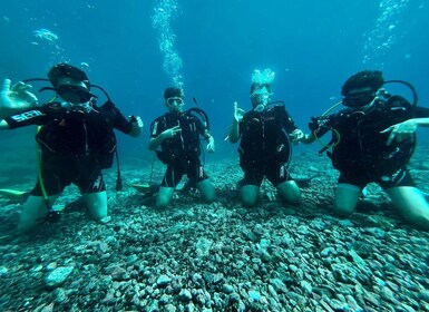 Tenerife : Diving Licence in one day