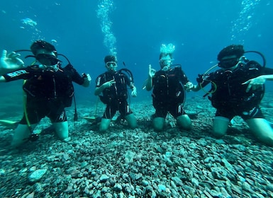 Tenerife : Diving Licence in one day