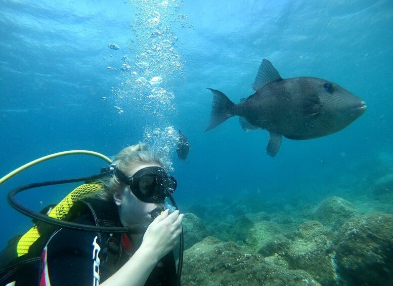 Picture 7 for Activity Tenerife : Diving License in one day