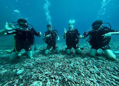 Tenerife : Diving Licence in one day