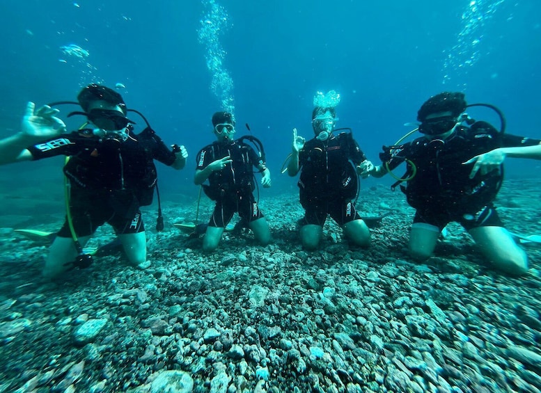 Tenerife : Diving License in one day