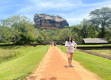 Sigiriya Dambulla & Minneriya Safari met ophalen/afzetten