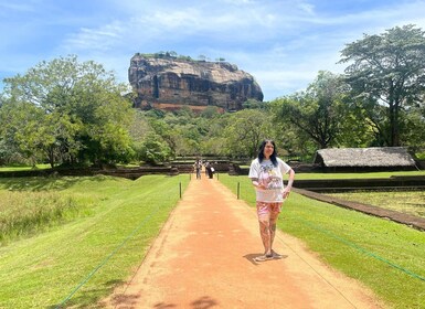 Safari a Sigiriya Dambulla e Minneriya con ritiro/riconsegna