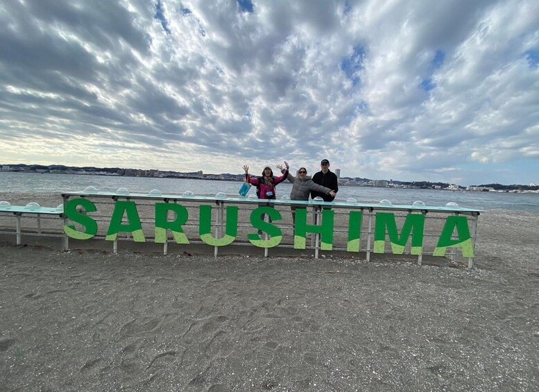 Picture 8 for Activity Yokosuka: Uninhabited Island and the Cruise of Naval Port