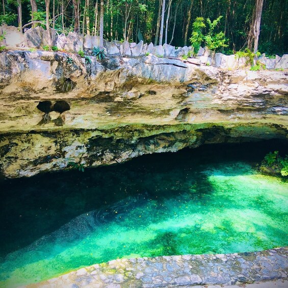 Picture 4 for Activity Cenotes Casa Tortuga tickets