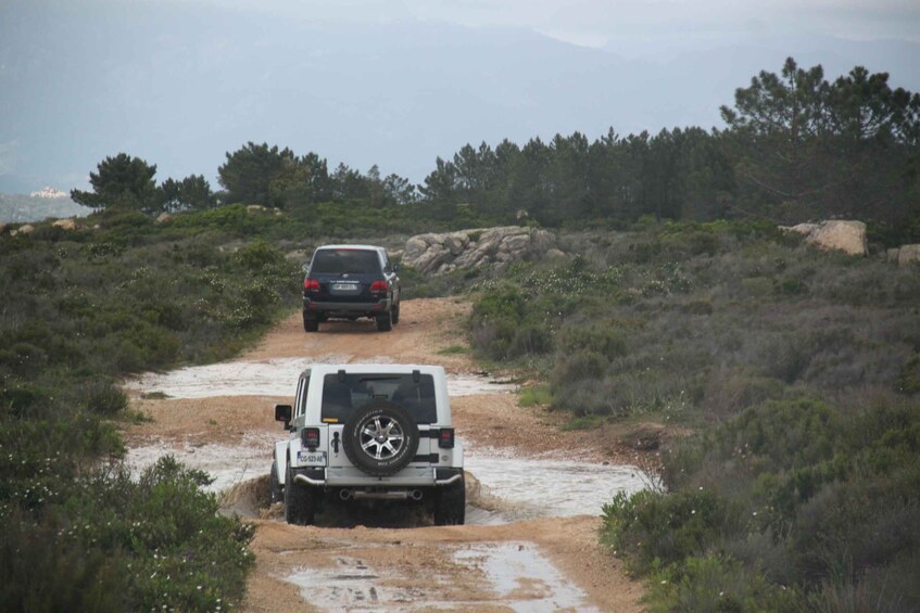 Picture 7 for Activity Porto Vecchio: Ospedale Forest & Bavella Needles 4x4 Tour