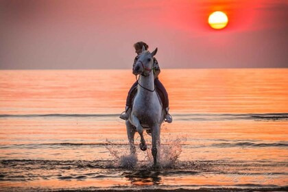 Agadir: Strand-Sonnenuntergang-Reittour mit Transfer