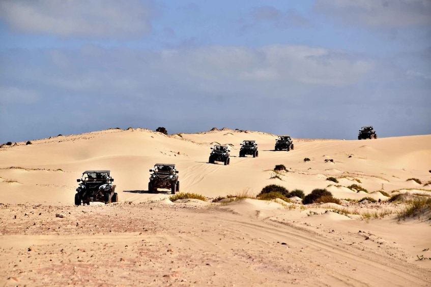 Picture 5 for Activity Boa Vista: 4-Hour Buggy 1000cc South Island Adventure