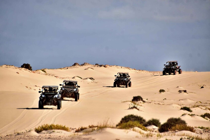 Picture 6 for Activity Boa Vista: 4-Hour Buggy 1000cc South Island Adventure