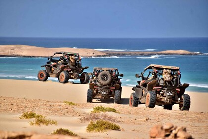 Boa Vista : 4 heures d'aventure en Buggy 1000cc sur l'île du Sud