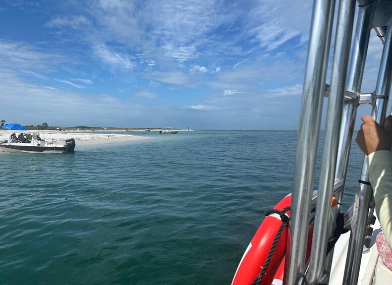 Picture 6 for Activity St Petersburg, FL: 3 Hour Islands Hopping Eco Tour