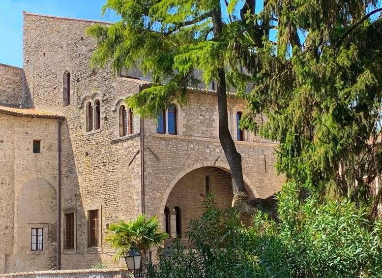 Anagni: Entrance ticket to the Boniface VIII Palace