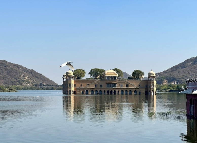 Jaipur: Private Sightseeing Day Tour with Guide by Car