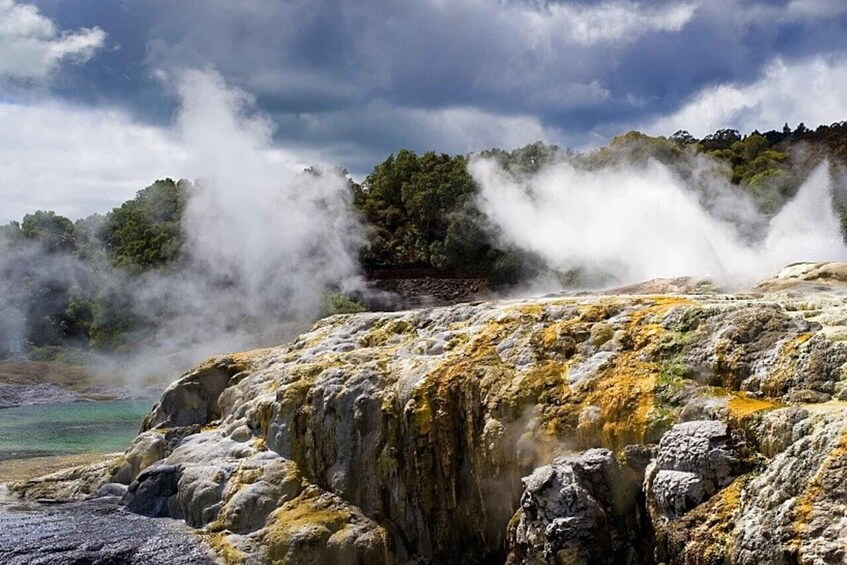 From Auckland: Rotorua Māori Village & Polynesian Spa Tour