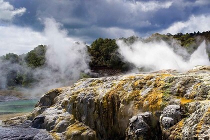 From Auckland: Rotorua Māori Village & Polynesian Spa Tour