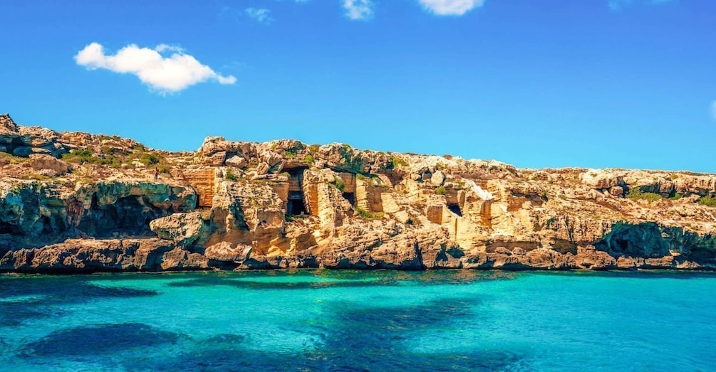 Private Half day Favignana