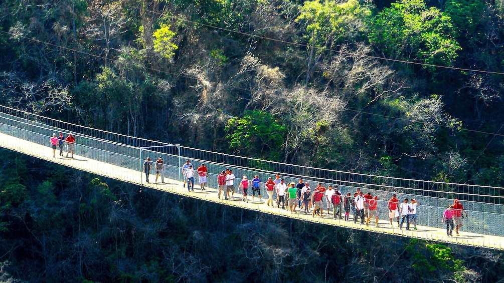 Group of people cross the Jorullo Bridge