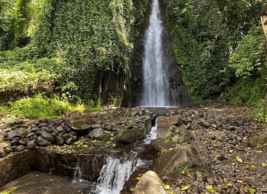 Kingstown: Cascading Dark View Falls and Beach Tour