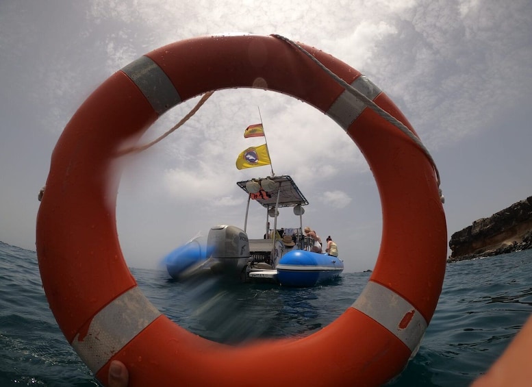 Picture 5 for Activity Puerto Colon: Dolphin and Whale Watching Speedboat Cruise