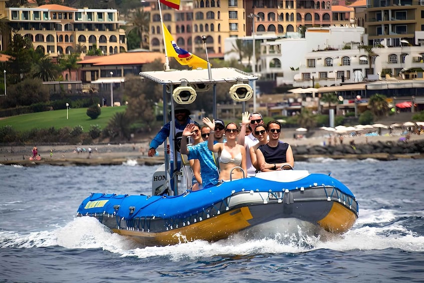 Picture 3 for Activity Puerto Colon: Dolphin and Whale Watching Speedboat Cruise