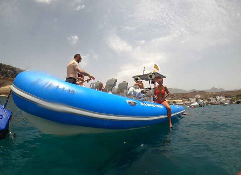 Picture 4 for Activity Puerto Colon: Dolphin and Whale Watching Speedboat Cruise