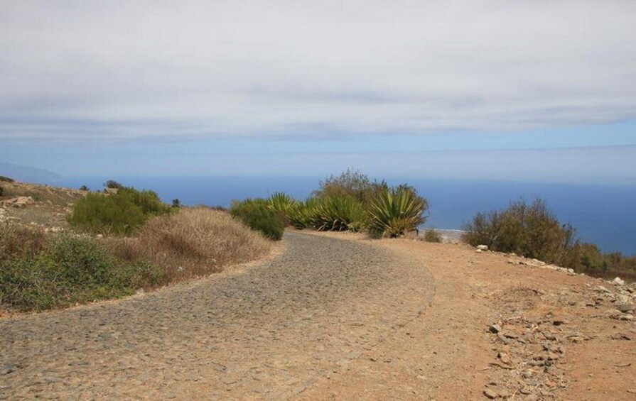 Picture 3 for Activity Hike to the highest point of Monte verde