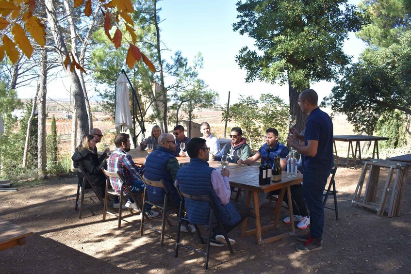 Picture 10 for Activity From Valencia: Guided Cheese Factory Tour with Wine Tasting