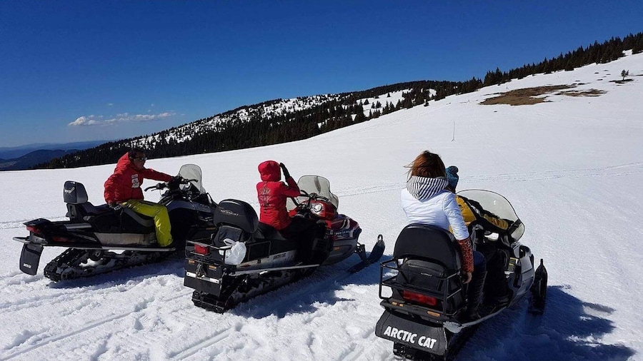 Pamporovo Perelik: Snowmobile Safari