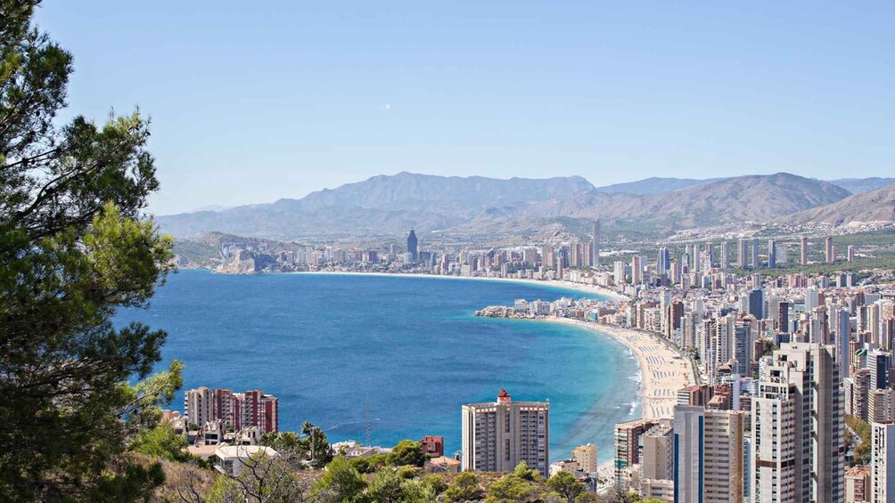 Picture 4 for Activity Highlight and gems of Benidorm