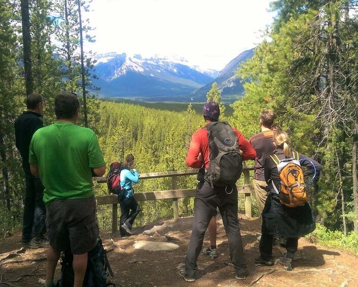 Picture 5 for Activity Banff: Bow River E-Bike Tour and Sundance Canyon Hike