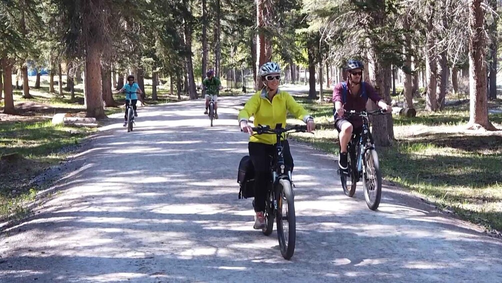 Picture 3 for Activity Banff: Bow River E-Bike Tour and Sundance Canyon Hike